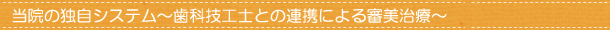 審美歯科　素材比較表