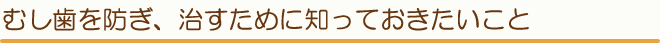 むし歯を防ぎ、治すために知っておきたいこと