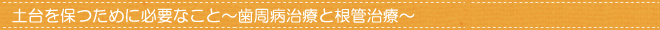 土台を保つために必要なこと～歯周病治療と根管治療～